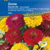 Zinnie Espana Mix | Zinniensamen Von Kiepenkerl 2 Zinnie Espana Mix | Zinniensamen Von Kiepenkerl -Elho Compo Geschaft 3505 Zinnie Espana Mix 3965 0