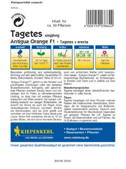 Tagetes Antigua Orange F1 | Studentenblumensamen Von Kiepenkerl -Elho Compo Geschaft 3528 Tagetes Antigua Orange F1 3862 1