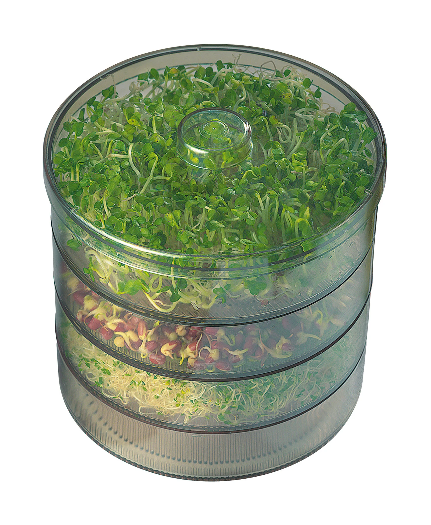 Keimsprossen Keimgerät Sprossenbox (Sprossenturm) | Sprossentürme Von Kiepenkerl 3 Keimsprossen Keimgerät Sprossenbox (Sprossenturm) | Sprossentürme Von Kiepenkerl – Bild 2