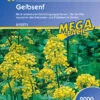 Gelbsenf (2 Kg) | Gründünger Von Kiepenkerl -Elho Compo Geschaft 3616 Gelbsenf 2 kg 615571 0