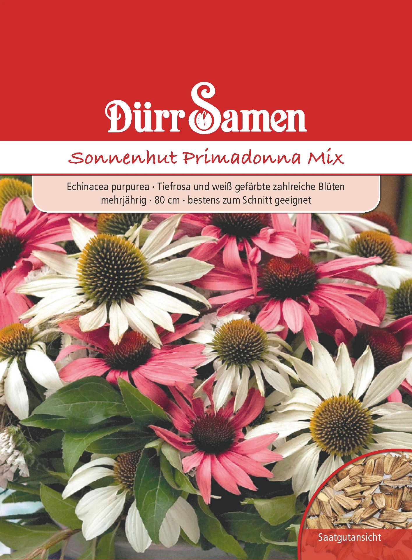 Sonnenhut Primadonna Mix | Sonnenhutsamen Von Dürr Samen 4 Sonnenhut Primadonna Mix | Sonnenhutsamen Von Dürr Samen – Bild 2