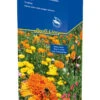 Blütenteppich (40 G) | Blumensamenmischung Von Kiepenkerl [MHD 12/2023] -Elho Compo Geschaft 528696 Bluetenteppich 40 g 4935 0