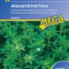 Alexandrinerklee (1 Kg) | Gründünger Von Kiepenkerl -Elho Compo Geschaft 528743 Alexandrinerklee 1 kg 615137 0