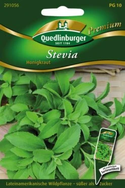 Stevia Süßkraut | Steviasamen Von Quedlinburger