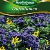 Duftblumen Schokolade Mit Sahne | Blumensamenmischung Von Quedlinburger -Elho Compo Geschaft 532106 Duftblumen Schokolade mit Sahn von Quedlinb