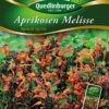 Aprikosen Melisse | Melissensamen Von Quedlinburger 1 Aprikosen Melisse | Melissensamen Von Quedlinburger -Elho Compo Geschaft 532146 Aprikosen Melisse von Quedlinburger Saatgut