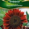 Sonnenblumen Claret | Sonnenblumensamen Von Quedlinburger -Elho Compo Geschaft 532177 Sonnenblumen Claret von Quedlinburger Saatg