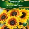Sonnenblumen Ring Of Fire | Sonnenblumensamen Von Quedlinburger -Elho Compo Geschaft 532178 Sonnenblumen Ring of Fire von Quedlinburger