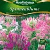 Spinnenblume Wasserspiel Mischung | Spinnenblumensamen Von Quedlinburger -Elho Compo Geschaft 532181 Spinnenblume Wasserspiel Mischung von Quedl