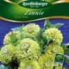 Zinnien Green Envy | Zinniensamen Von Quedlinburger -Elho Compo Geschaft 532212 Zinnien Green Envy von Quedlinburger Saatgu