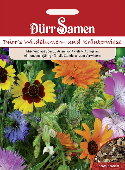 Wildblumen- Und Kräuterwiese 350 - 400m² | Blumenwiese Von Dürr Samen 4 Wildblumen- Und Kräuterwiese 350 - 400m² | Blumenwiese Von Dürr Samen – Bild 2