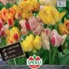 Tulpe Candy Club Mix (7 Stück) | Tulpenmischung Von Sperli -Elho Compo Geschaft 533195 Tulpe Candy Club Mix 7 Stueck 452082 0