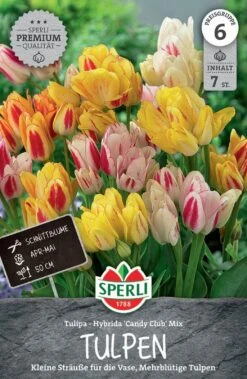 Tulpe Candy Club Mix (7 Stück) | Tulpenmischung Von Sperli
