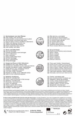 Wildkrokus Mischung Pastellfarben (35 Stück) | Krokuszwiebeln Von Pegasus -Elho Compo Geschaft 533469 Wildkrokus Mischung Pastellfarben 35 Stueck 595354 1