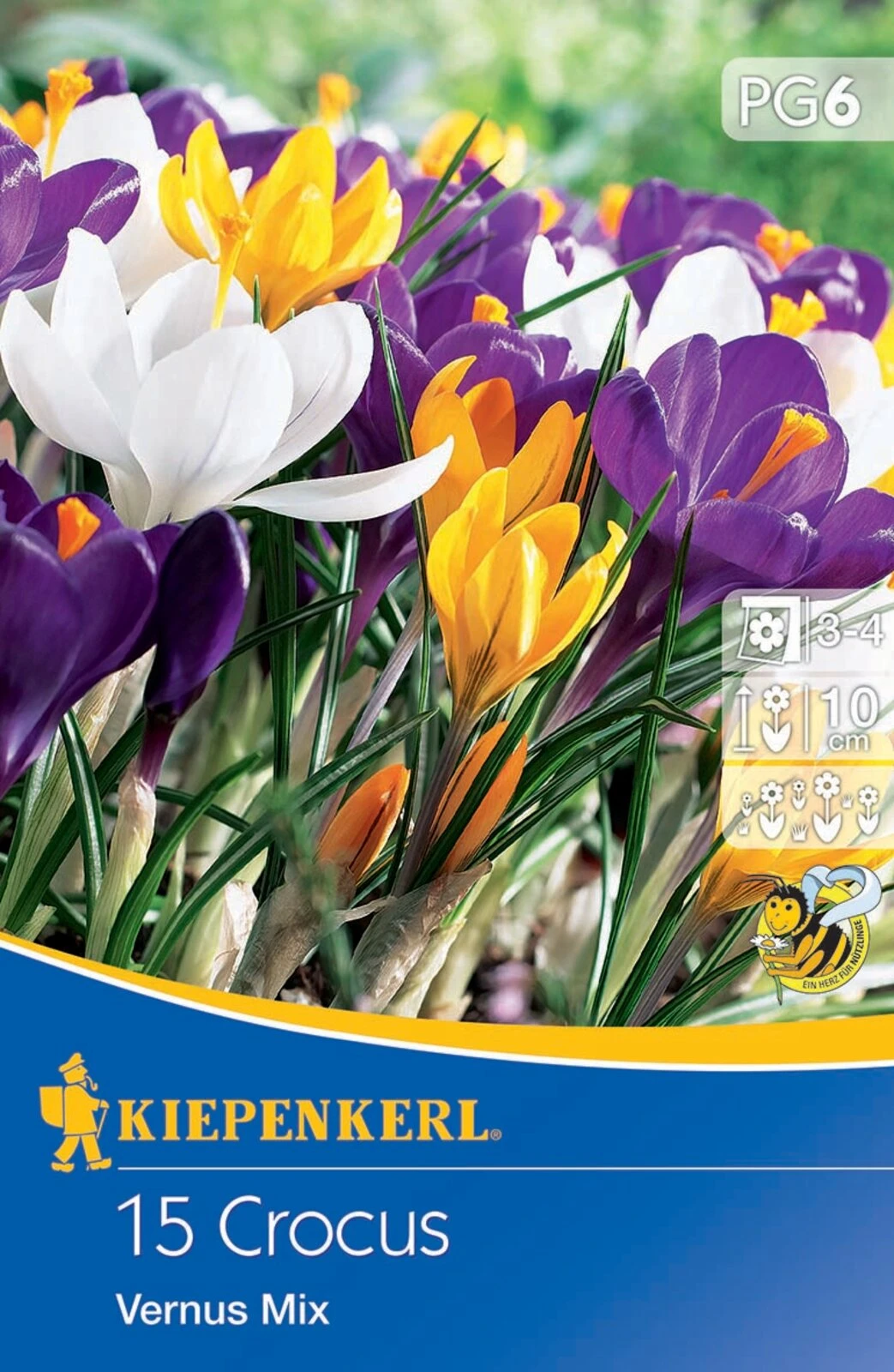 Großblumiger Krokus Mischung (15 Stück) | Krokuszwiebeln Von Kiepenkerl 4 Großblumiger Krokus Mischung (15 Stück) | Krokuszwiebeln Von Kiepenkerl – Bild 2