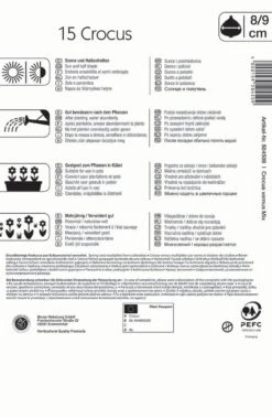 Großblumiger Krokus Mischung (15 Stück) | Krokuszwiebeln Von Kiepenkerl