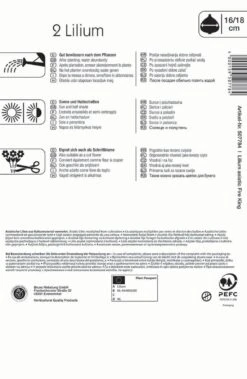 Lilie Fire King (2 Stück) | Lilienzwiebeln Von Kiepenkerl