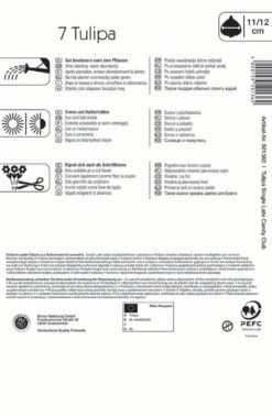 Mehrblütige Tulpe Candy Club (7 Stück) | Tulpenzwiebeln Von Kiepenkerl -Elho Compo Geschaft 533521 Mehrbluetige Tulpe Candy Club 7 Stueck 501362 1