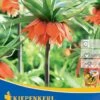 Kaiserkrone Rubra (1 Stück) | Kaiserkronenzwiebeln Von Kiepenkerl -Elho Compo Geschaft 533536 Kaiserkrone Rubra 1 Stueck 507593 0