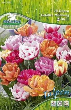 Tulpe Double Mischung (20 Stück) | Tulpenmischung Von Pegasus -Elho Compo Geschaft 533547 Tulpe Double Mischung 20 Stueck 595347 0