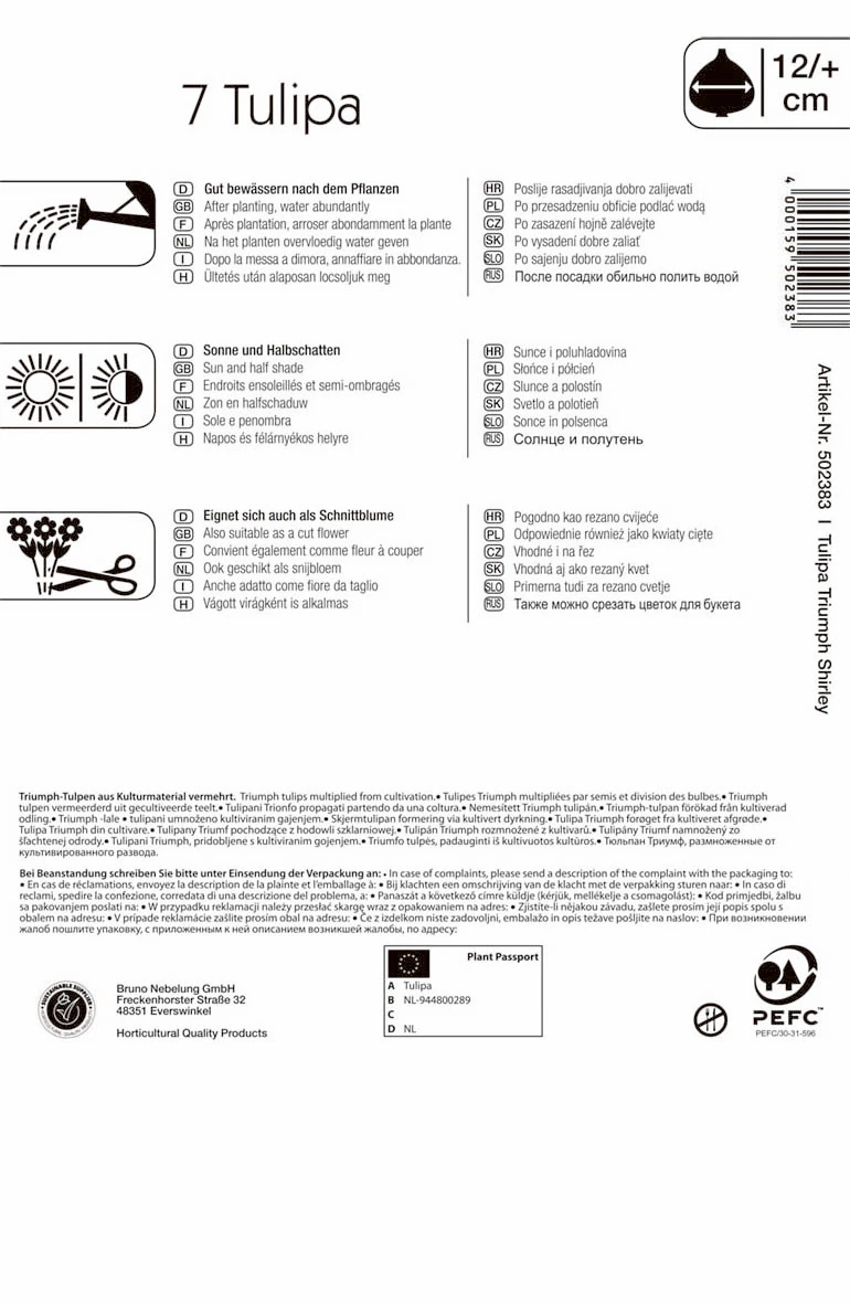 Triumph-Tulpe Shirley (7 Stück) | Tulpenzwiebeln Von Kiepenkerl 3 Triumph-Tulpe Shirley (7 Stück) | Tulpenzwiebeln Von Kiepenkerl