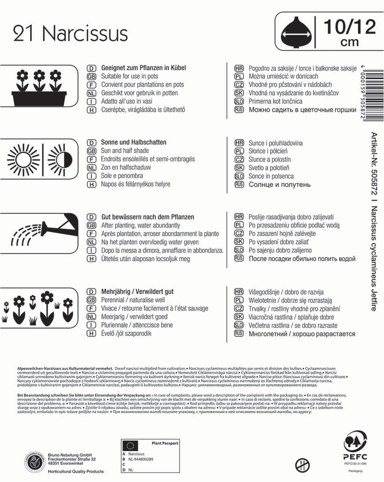 Mega-Pack Narzisse Jetfire (21 Stück) | Narzissenzwiebeln Von Kiepenkerl 4 Mega-Pack Narzisse Jetfire (21 Stück) | Narzissenzwiebeln Von Kiepenkerl – Bild 2