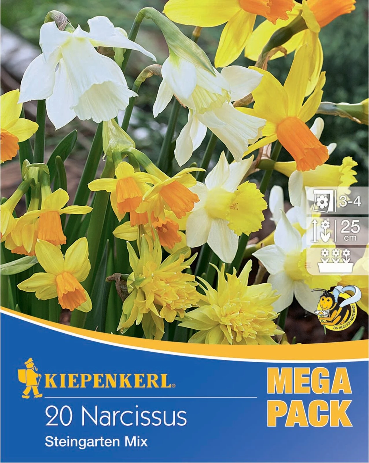 Mega-Pack Steingarten Narzissen Mischung (20 Stück) | Narzissenzwiebeln Von Kiepenkerl 3 Mega-Pack Steingarten Narzissen Mischung (20 Stück) | Narzissenzwiebeln Von Kiepenkerl