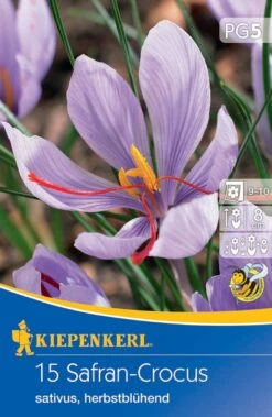 Safrankrokus (15 Stück) | Krokuszwiebeln Von Kiepenkerl -Elho Compo Geschaft 533584 Safrankrokus 15 Stueck 509955 0