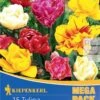 Mega-Pack Gefüllte Tulpen Mischung (15 Stück) | Tulpenzwiebeln Von Kiepenkerl 1 Mega-Pack Gefüllte Tulpen Mischung (15 Stück) | Tulpenzwiebeln Von Kiepenkerl -Elho Compo Geschaft 533586 Mega Pack Gefuellte Tulpen Mischung 15 Stueck 506930 0