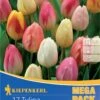 Mega-Pack Triumph-Tulpe Pastell Farbenspiel (17 Stück) | Tulpenzwiebeln Von Kiepenkerl -Elho Compo Geschaft 533595 Mega Pack Triumph Tulpe Pastell Farbenspiel 17 Stueck 508514 0