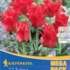 Mega-Pack Greigii-Tulpe Rotkäppchen (17 Stück) | Tulpenzwiebeln Von Kiepenkerl -Elho Compo Geschaft 533619 Mega Pack Greigii Tulpe Rotkaeppchen 17 Stueck 508699 0