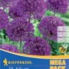 Mega-Pack Zierlauch Purple Sensation (15 Stück) | Alliumzwiebeln Von Kiepenkerl -Elho Compo Geschaft 533621 Mega Pack Zierlauch Purple Sensation 15 Stueck 509207 0