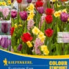 Colour Symphony Summer Fire (17 Stück) | Blumenzwiebelmischungen Von Kiepenkerl -Elho Compo Geschaft 533627 Colour Symphony Summer Fire 17 Stueck 545182 0
