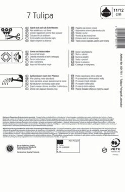 Gefranste Tulpe Labrador (7 Stück) | Tulpenzwiebeln Von Kiepenkerl -Elho Compo Geschaft 533634 Gefranste Tulpe Labrador 7 Stueck 501751 1