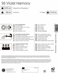 Colour Symphony Violet Harmony (26 Stück) | Blumenzwiebelmischungen Von Kiepenkerl -Elho Compo Geschaft 533641 Colour Symphony Violet Harmony 26 Stueck 545236 1