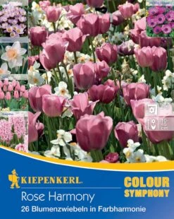 Colour Symphony Rose Harmony (26 Stück) | Blumenzwiebelmischungen Von Kiepenkerl -Elho Compo Geschaft 533642 Colour Symphony Rose Harmony 26 Stueck 545250 0
