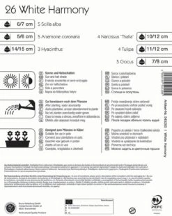 Colour Symphony White Harmony (26 Stück) | Blumenzwiebelmischungen Von Kiepenkerl -Elho Compo Geschaft 533673 Colour Symphony White Harmony 26 Stueck 545205 1