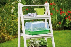 Gewächshaus M | Zimmergewächshaus Von Romberg -Elho Compo Geschaft 535231 Gewaechshaus M 10094102 1