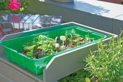 Anzuchthaus M PLUS | Mini-Gewächshaus Von Romberg -Elho Compo Geschaft 535236 Anzuchthaus M PLUS 10094202 2