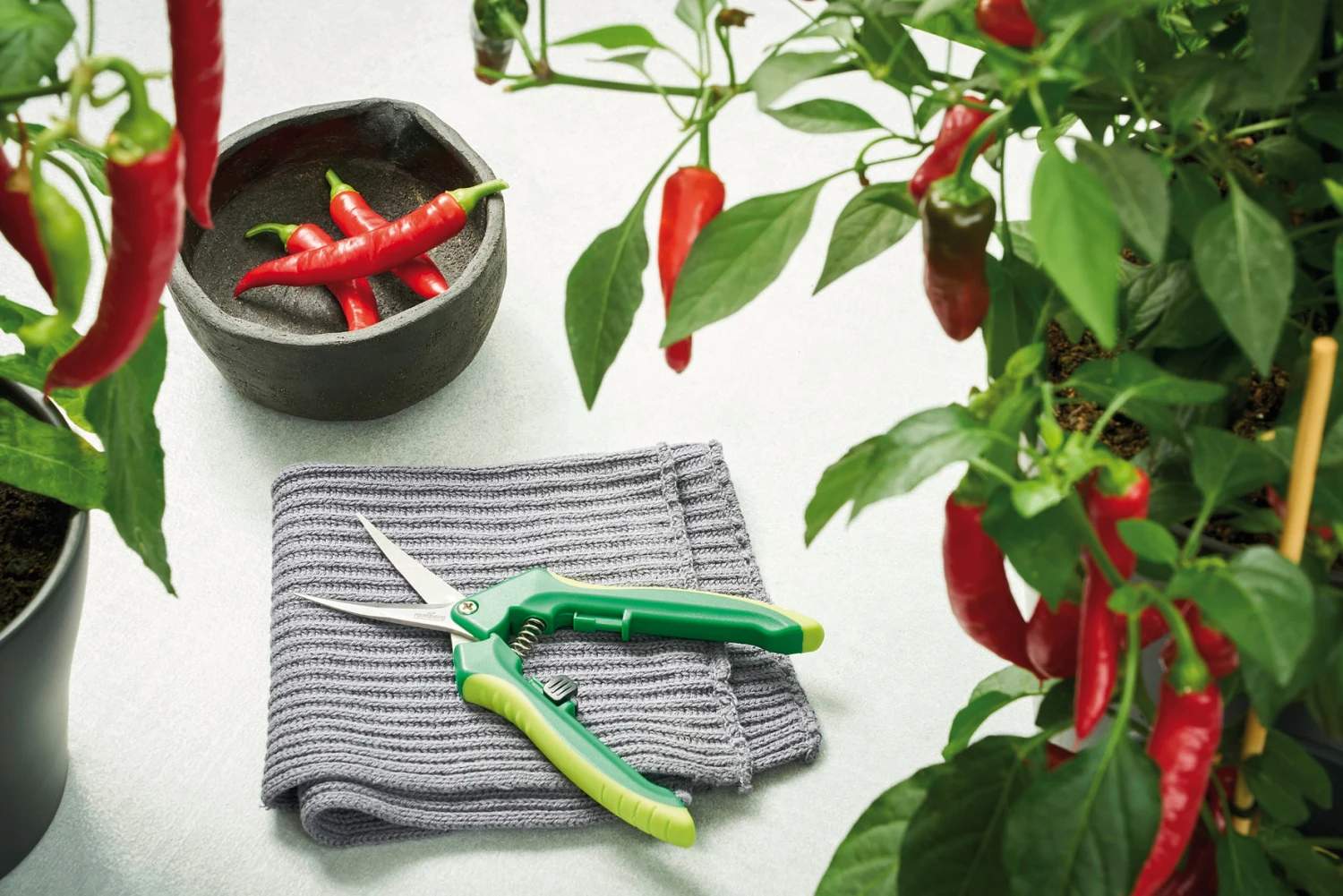 Ernteschere "Curved" | Gartenscheren Von Romberg 4 Ernteschere "Curved" | Gartenscheren Von Romberg – Bild 2