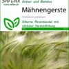 Mähnengerste | Gräsersamen Von Saflax -Elho Compo Geschaft 535602 Maehnengerste 13311 sa 0