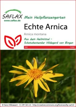 Echte Arnica | Heilpflanzensamen Von Saflax