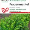 Frauenmantel | Heilpflanzensamen Von Saflax -Elho Compo Geschaft 535653 Frauenmantel 15205 sa 0