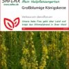 Großblumige Königskerze | Heilpflanzensamen Von Saflax -Elho Compo Geschaft 535671 Grossblumige Koenigskerze 15223 sa 0