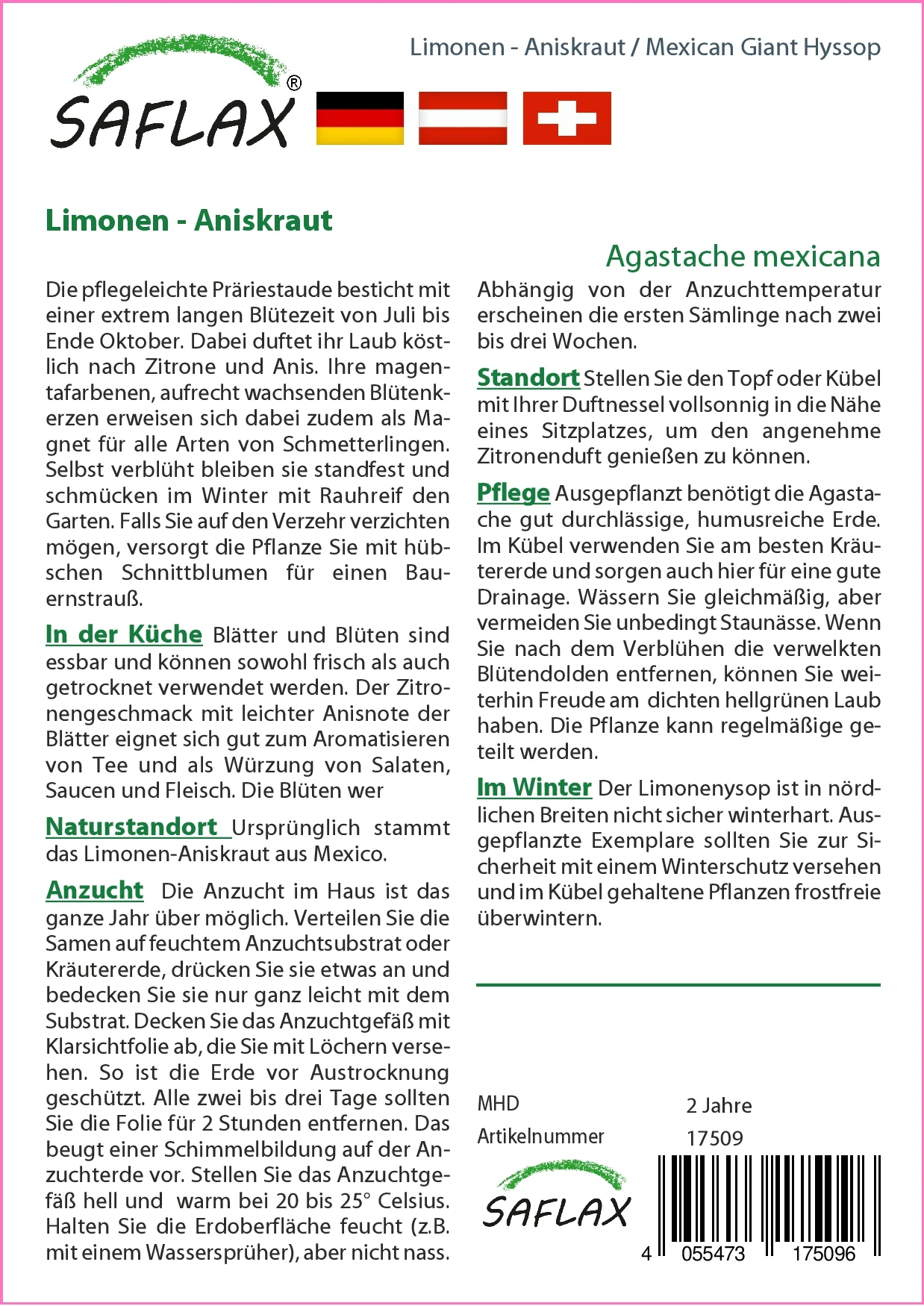 Limonen-Aniskraut | Anissamen Von Saflax 4 Limonen-Aniskraut | Anissamen Von Saflax – Bild 2