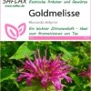 Goldmelisse | Melissensamen Von Saflax