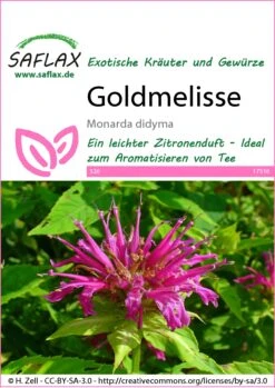 Goldmelisse | Melissensamen Von Saflax