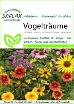 Blumenwiese Vogelträume | Wildblumenwiese Von Saflax