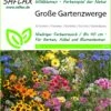 Blumenwiese Große Gartenzwerge | Wildblumenwiese Von Saflax