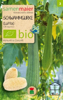 Beet-Box "Raritätenbox" | BIO Gemüsesamen-Sets Von Samen Maier